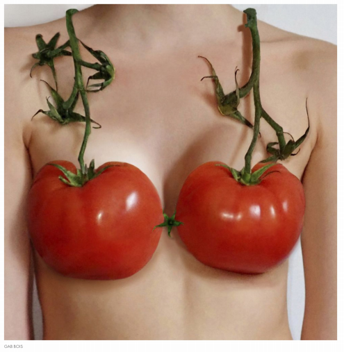 Did females' non-artificial big breasts exist back in the
